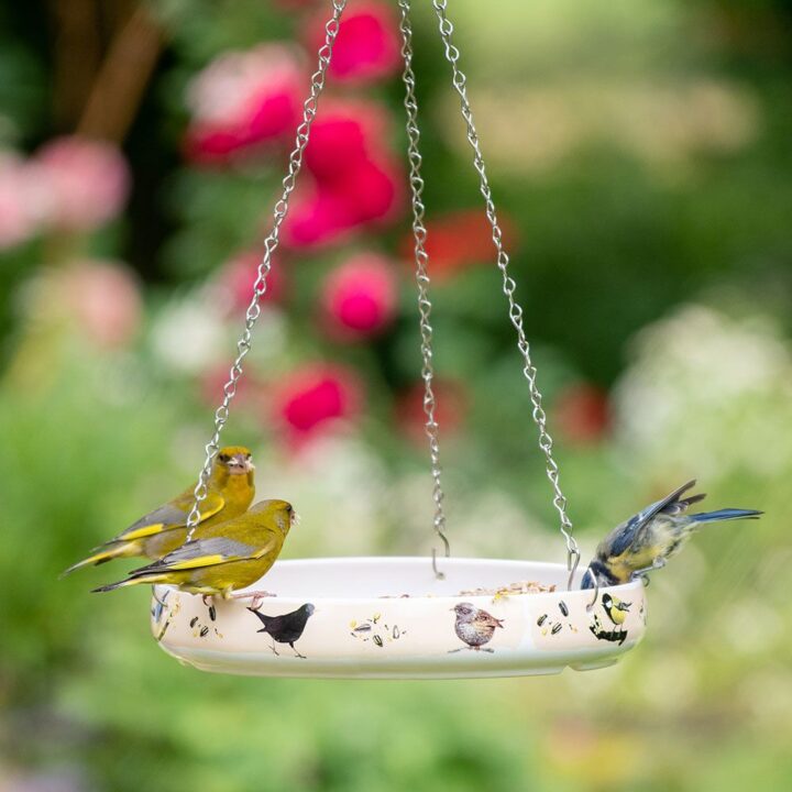 Garden Birds Feeding Bowl - Image 2