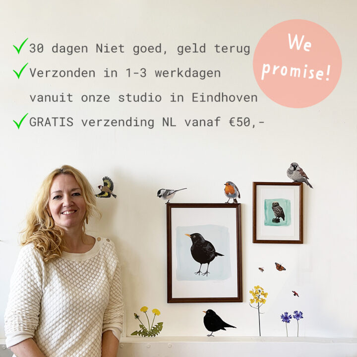 Ijsvogel Art Print - Afbeelding 6