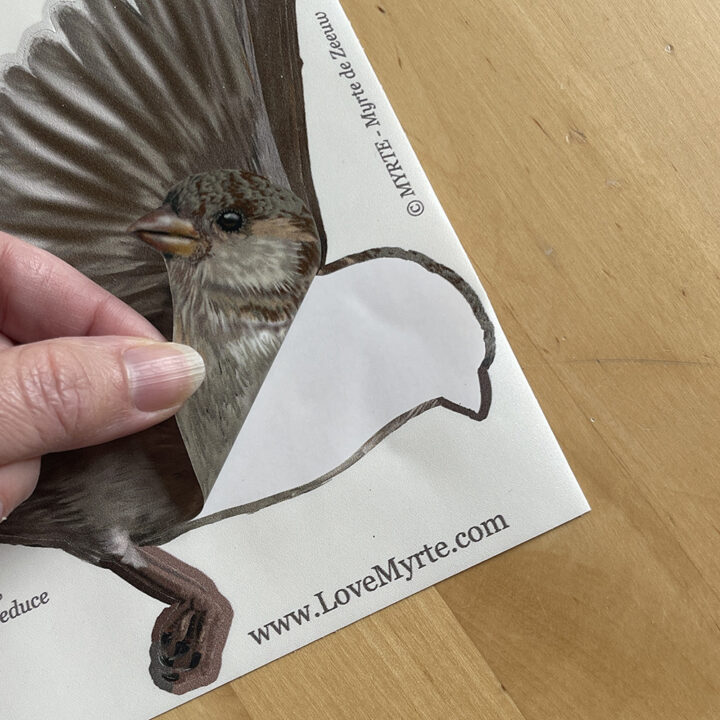 Huismus Dubbelzijdige Raamsticker - Afbeelding 2