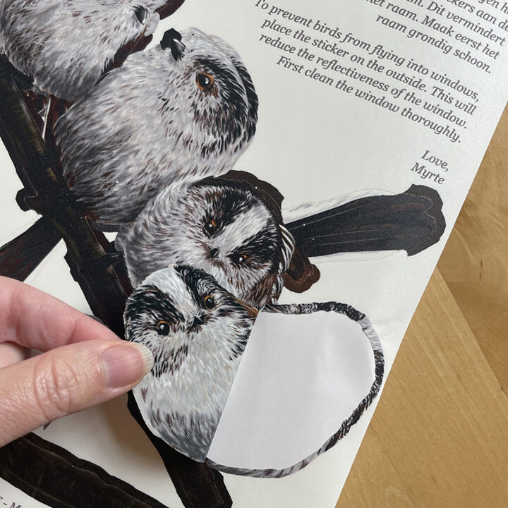 Wilde Bloemen Dubbelzijdige Raamsticker - Afbeelding 2