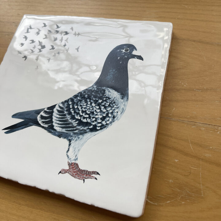 Postduif - Tegeltje - Afbeelding 2