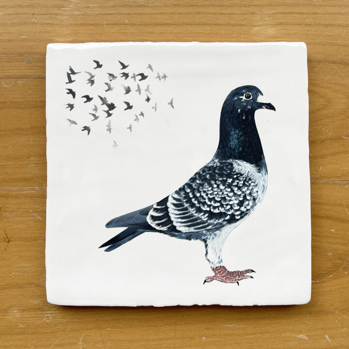 Postduif - Tegeltje