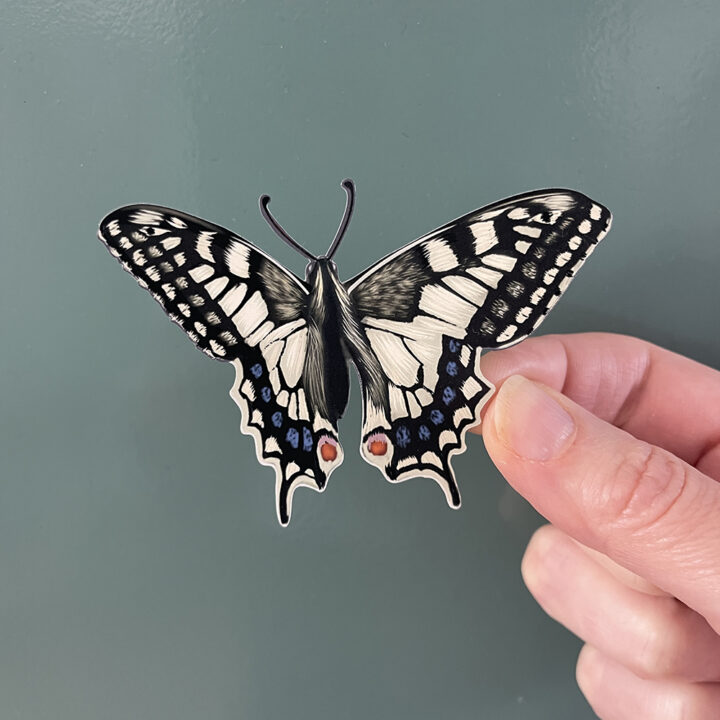 Vlinders muurstickers - Afbeelding 5