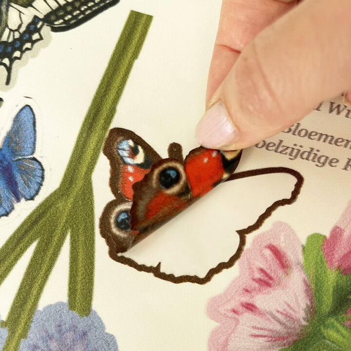 Wild Flowers Double-sided Window Sticker - Image 4