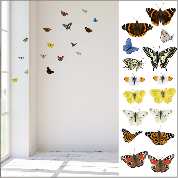 Vlinders muurstickers
