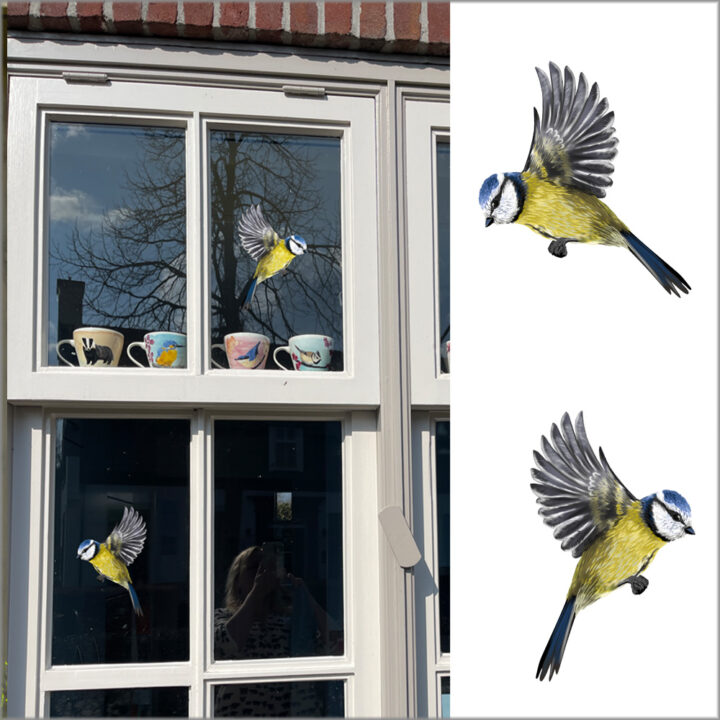 Blue tit Double-sided Window Sticker