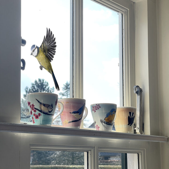 Blue tit Double-sided Window Sticker - Image 2