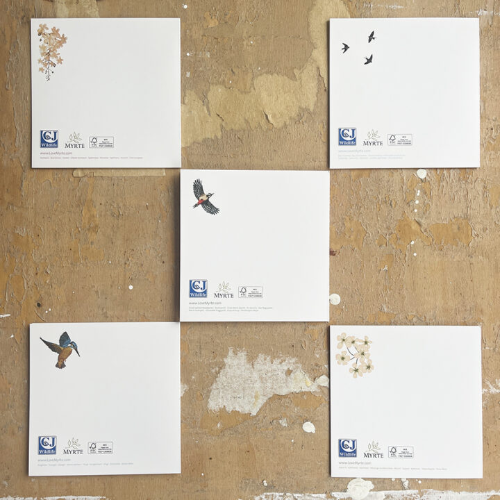 Beautiful Garden Birds - set van 10 kaarten - Afbeelding 6