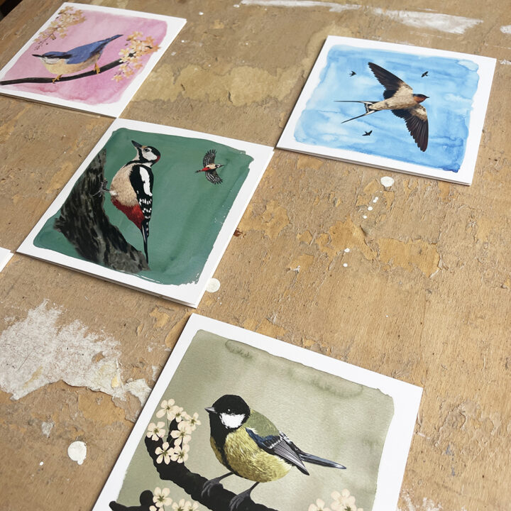 Beautiful Garden Birds - set van 10 kaarten - Afbeelding 2