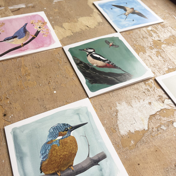 Beautiful Garden Birds - set van 10 kaarten - Afbeelding 3