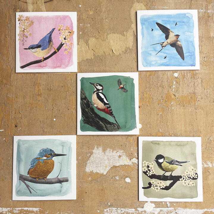 Beautiful Garden Birds - set van 10 kaarten