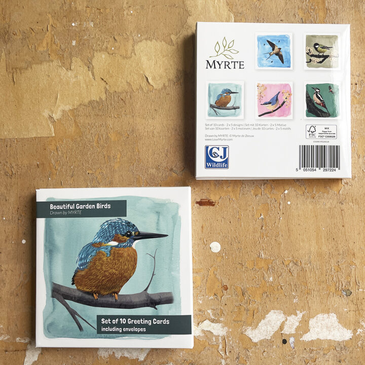 Beautiful Garden Birds - set van 10 kaarten - Afbeelding 4