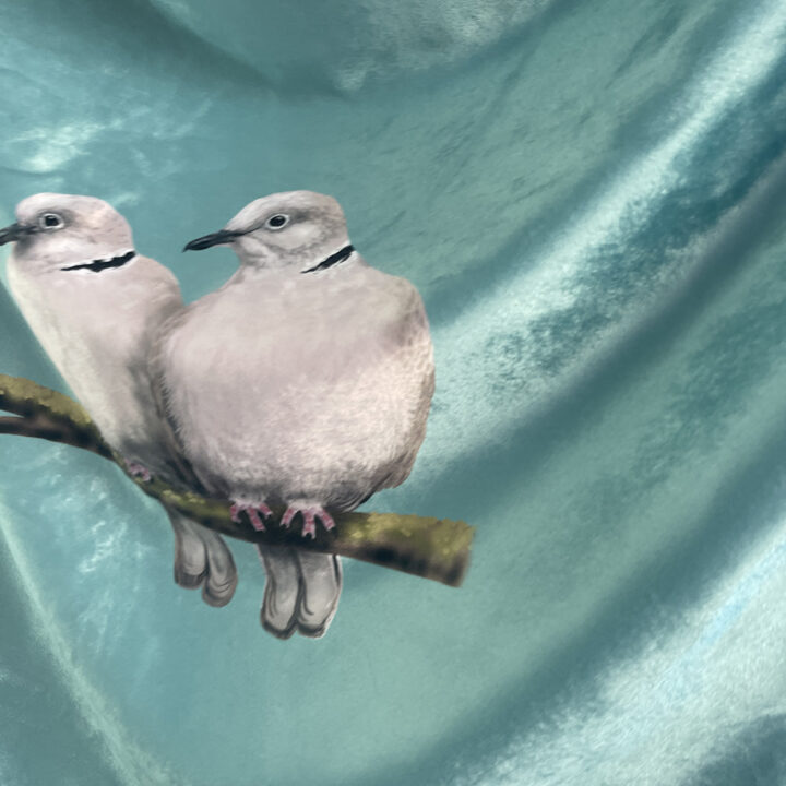 Collared Dove Blanket - Image 3