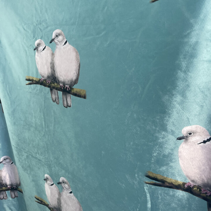 Collared Dove Blanket - Image 4