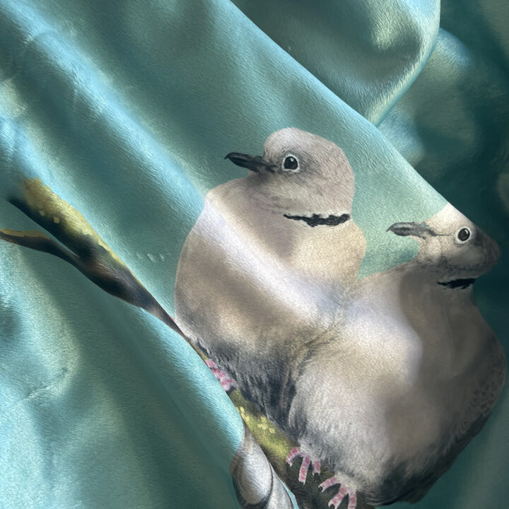 Collared Dove Blanket - Image 5
