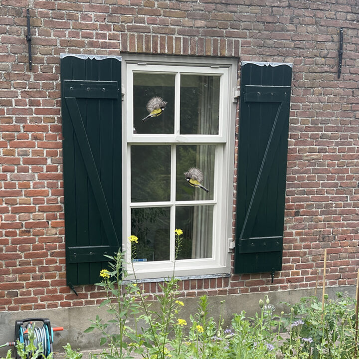 Koolmees Dubbelzijdige Raamsticker - Afbeelding 2