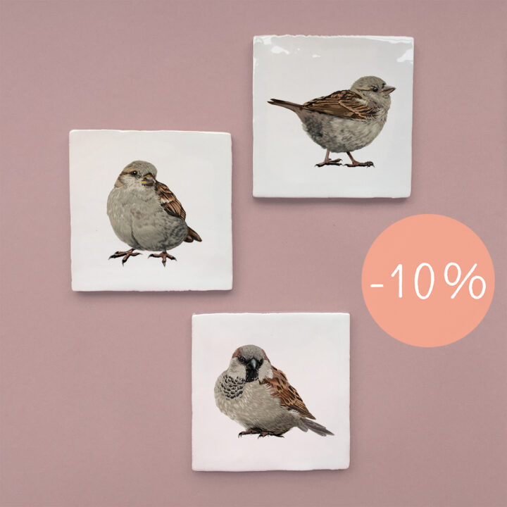 3 tegeltjes - Huismussen