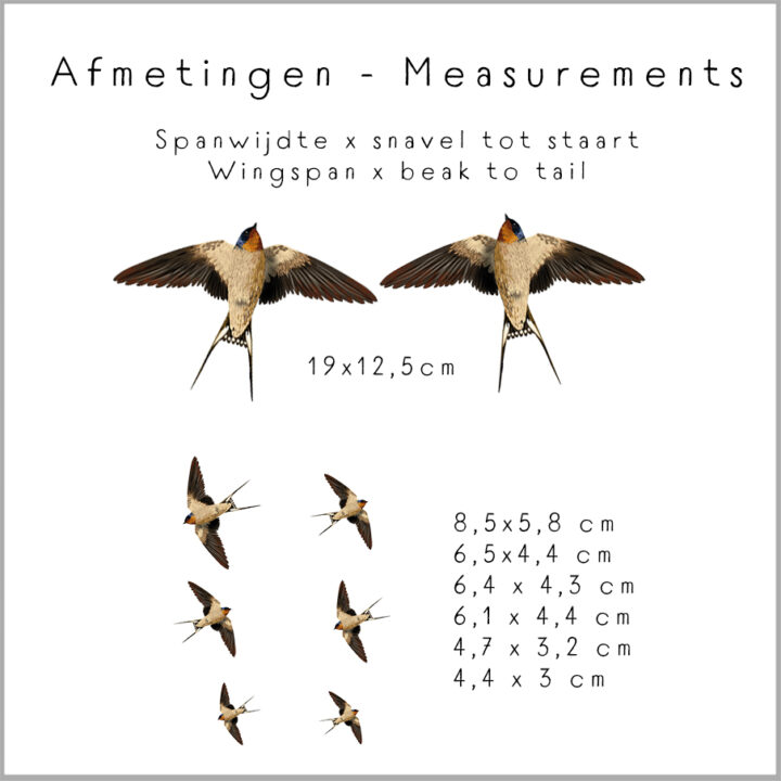 Boerenzwaluw muurstickers - Afbeelding 6