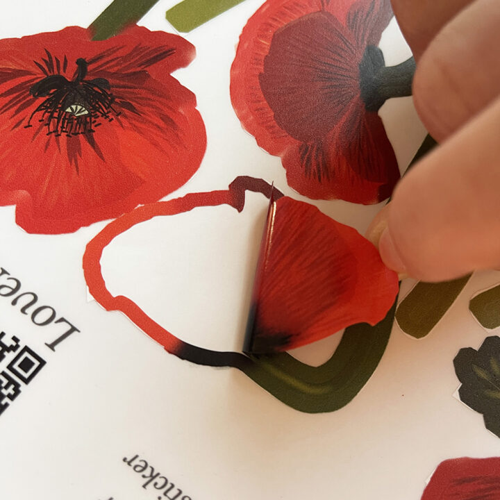 Klaprozen Dubbelzijdige Raamsticker - Afbeelding 2