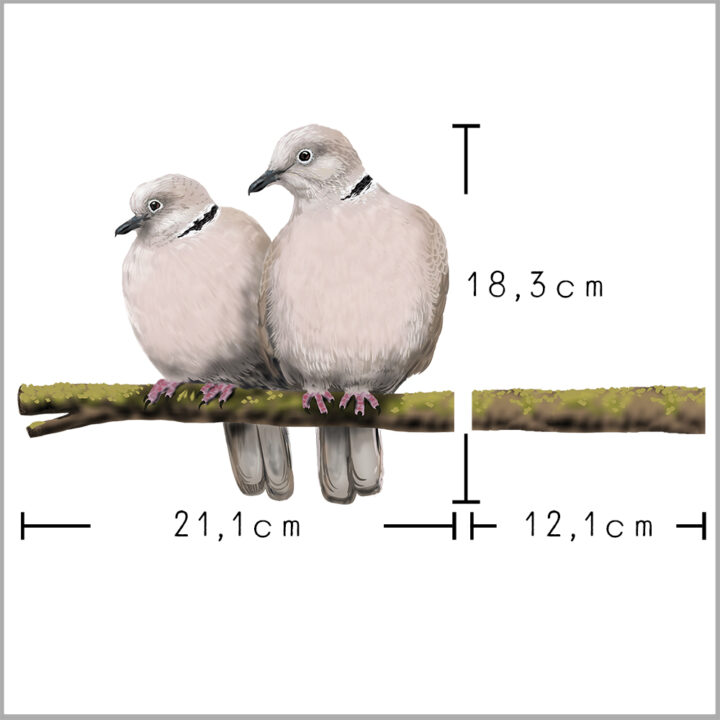 Collared Dove Double-sided Window Sticker - Image 4