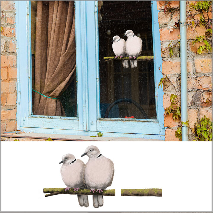 Collared Dove Double-sided Window Sticker