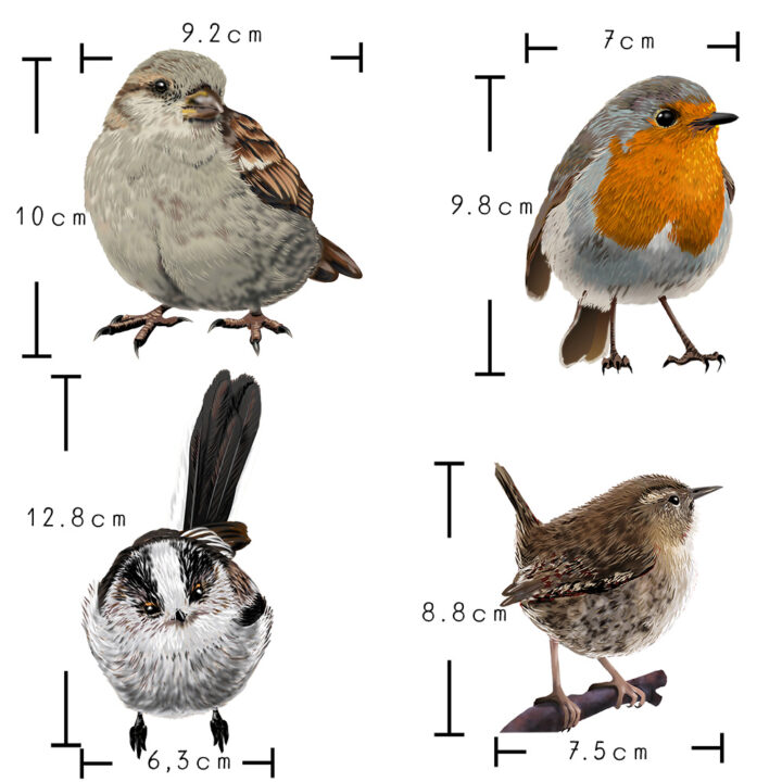 Vogeltjes Mix Dubbelzijdige Raamsticker - Afbeelding 6