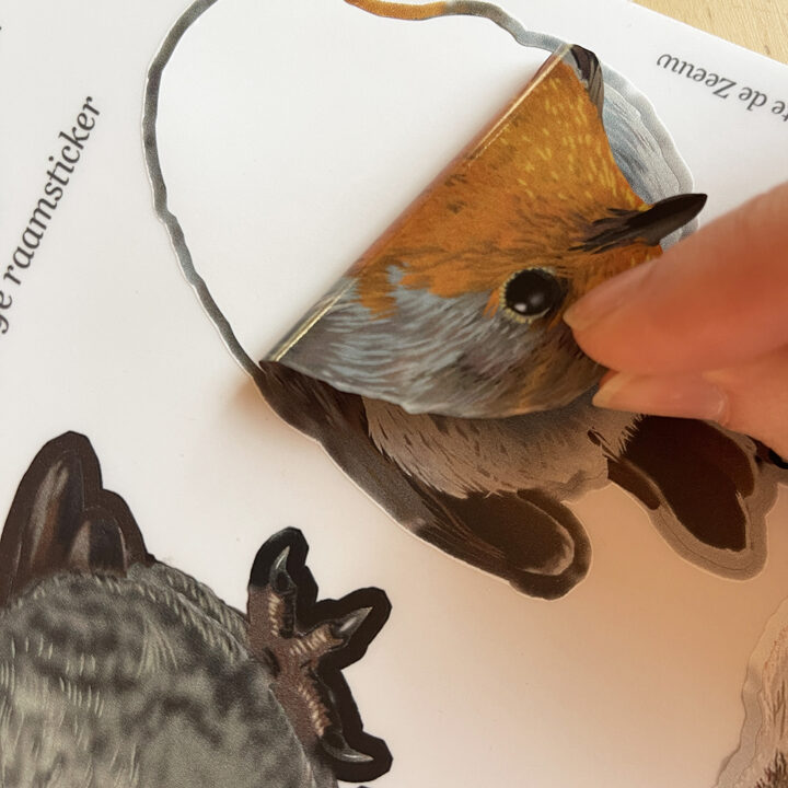 Vogeltjes Mix Dubbelzijdige Raamsticker - Afbeelding 3