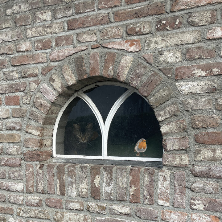 Vogeltjes Mix Dubbelzijdige Raamsticker - Afbeelding 5
