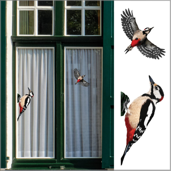 Spotted Woodpecker Double-sided Window Sticker
